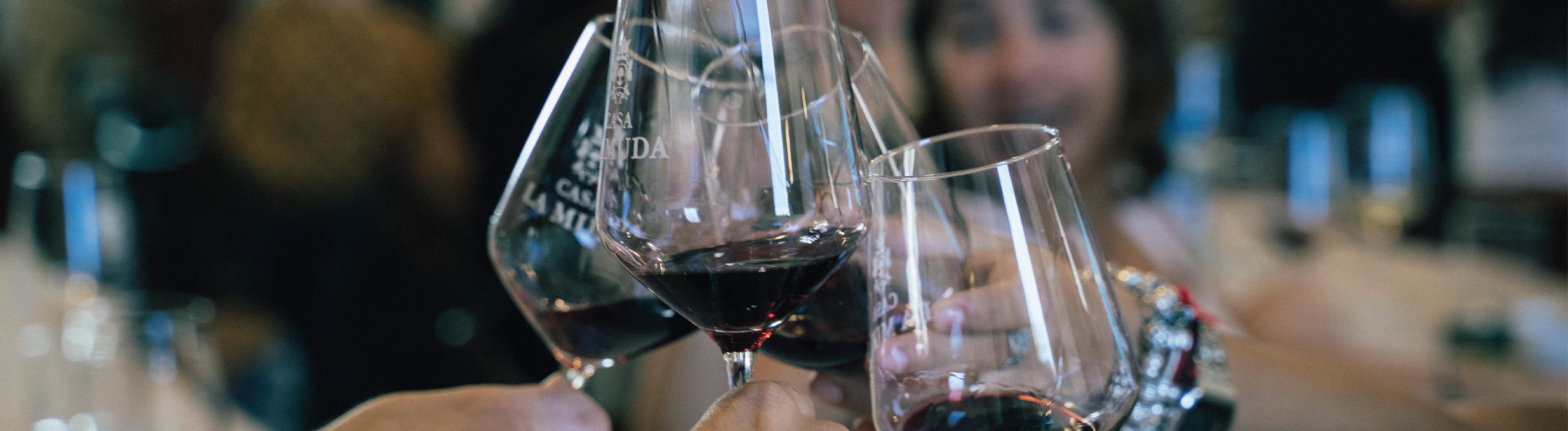 C&oacute;mo catar un vino paso a paso&colon; gu&iacute;a completa &vert; Dominios de MGP