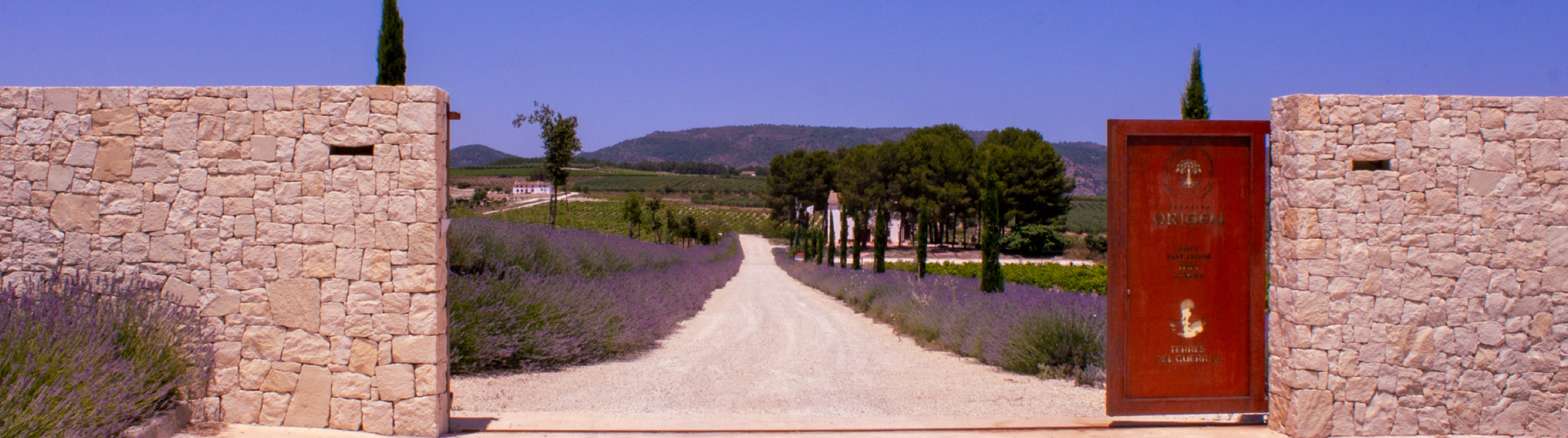 Dominios de MGP&colon; vinos de edici&oacute;n limitada con identidad