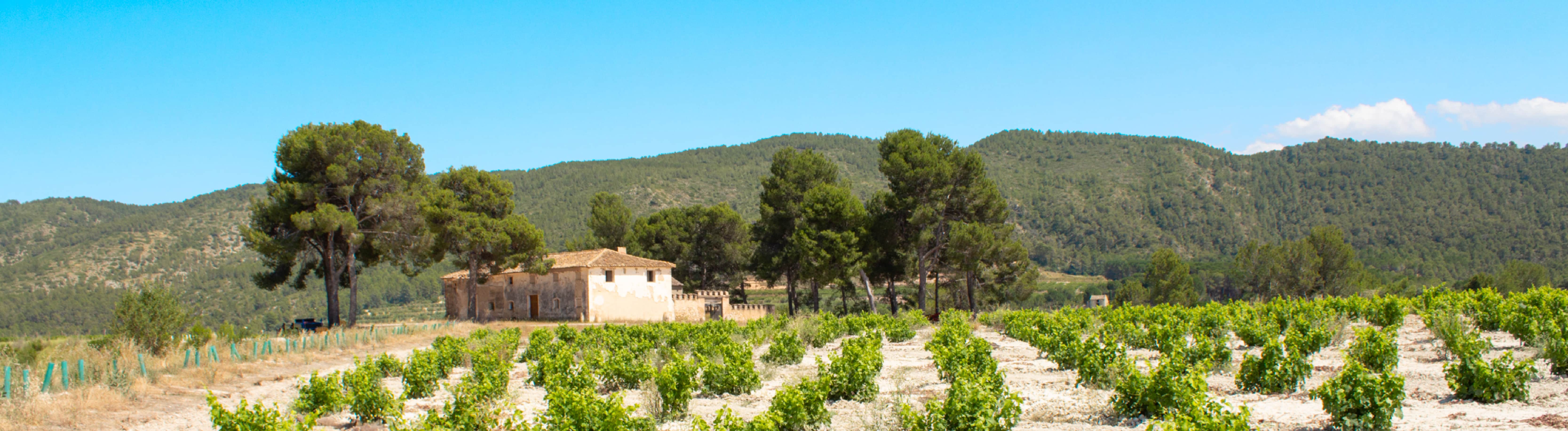 Moixent y el Valle Ibero&colon; el origen de nuestros vinos