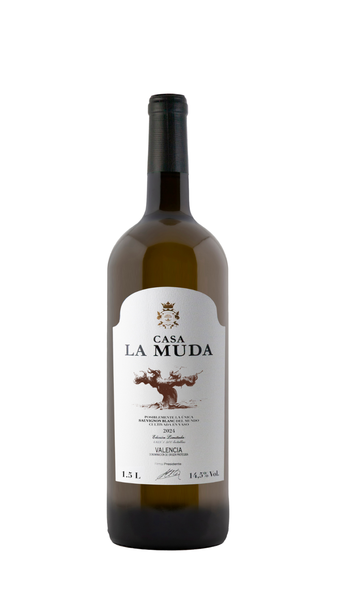 Sauvignon Blanc magnum